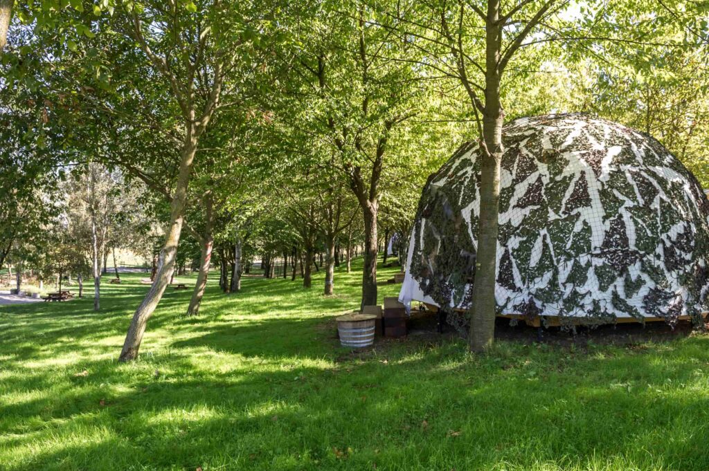 Glamping nel bosco phAndrea Guermani (1)